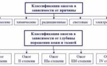 Народные средства для лечения ожогов