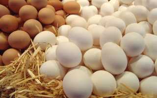 Можно ли яйца при панкреатите?